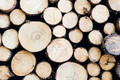 Bildunterschrift: Wärmegewinnung aus Holz bietet Versorgungssicherheit – unabhängig von Wind und Wetter. Foto: pexels/akz-o