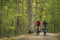 Bildunterschrift: Perfekte Auszeit vom Alltag: Ein Tagesausflug mit dem eBike verbindet Bewegung, frische Luft und Erholung. Mit der richtigen Vorbereitung wird daraus ein unbeschwertes Erlebnis voller Fahrspaß. Foto: Robert Bosch GmbH/akz-o
