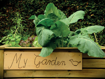 Hochbeete machen das Gärtnern nicht nur bequemer, sondern auch effektiver, denn Obst und Gemüse werden hier bestens mit Nährstoffen versorgt. Foto: unsplash.com/akz-o