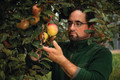 Bildunterschrift: Streuobstwiesen brauchen Pflege. Foto: Wolfra Bayerische Natursaft Kelterei GmbH/akz-o