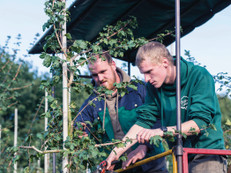 Die Arbeit in einer Baumschule verbindet Natur, Technik und Teamarbeit auf besondere Weise. Foto: Bund deutscher Baumschulen e.V./akz-o