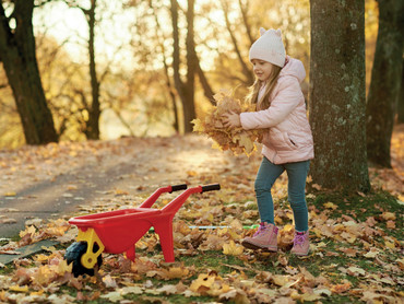 Hilfe für den Wald Hilfe für den Wald