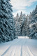 Bildunterschrift: Foto: pexels.com/ak-o
