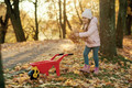 Bildunterschrift: Klimaschutz ist machbar – wenn viele mithelfen. Die gespendeten Baumsetzlinge werden von der Schutzgemeinschaft Deutscher Wald in der kalten Jahreszeit gepflanzt. Foto: Polesie Toys/pexels.com/akz-o Bildunterschrift: Klimaschutz ist machbar – wenn viele mithelfen. Die gespendeten Baumsetzlinge werden von der Schutzgemeinschaft Deutscher Wald in der kalten Jahreszeit gepflanzt. Foto: Polesie Toys/pexels.com/akz-o