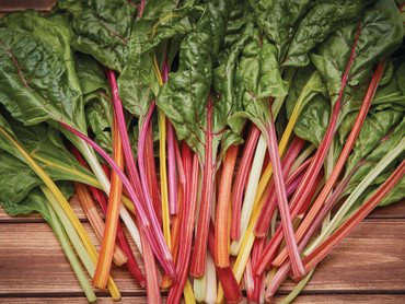 Vielfalt auf kleinem Raum: Saatgut-Kombinationen zum Ausprobieren