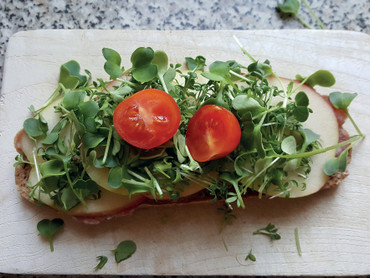 Kresse: Superfood für jeden Tag