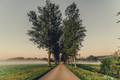 Bildunterschrift: Malerische Landschaften und ruhige Wege laden entlang des Kocher-Jagst-Radwegs dazu ein, die Natur in aller Ruhe zu genießen und den Alltag hinter sich zu lassen. Foto: www.kocher-jagst.de/Chris Frumolt/akz-o