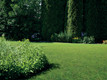 Bildunterschrift: Ein dichter, sattgrüner Rasen ist der Traum eines jeden Gartenbesitzers. Foto: Evergreen Garden Care/akz-o