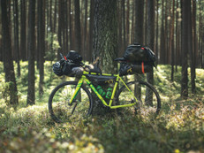 Ob Wochenendausflug oder mehrtägige Tour – Radreisen durch Deutschland sind vielseitig, nachhaltig und bieten unvergessliche Eindrücke. Foto: pexels.com/ak-o