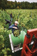 Bildunterschrift: Gerade im Herbst, wenn die Weinlese die Region prägt, lässt sich die besondere Verbindung zwischen Wein und Landschaft besonders gut erleben. Foto: Tourimia Tourismus GmbH/Stefan Leitner Photography/akz-o
