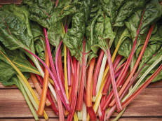 Saatgut-Kombinationen von Sperli sind ideal, um neue Gemüse kennenzulernen. Foto: Sperli/akz-o