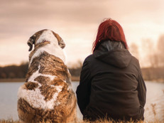 Wenn der beste Freund des Menschen geht, kann eine Tierbestattung Trost spenden. Foto: Pixabay/Sven Lachmann/akz-o