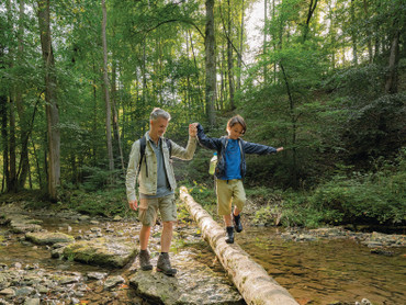 Dem Alltag davonwandern: Herbstliche Ruhe und regionale Genüsse erleben