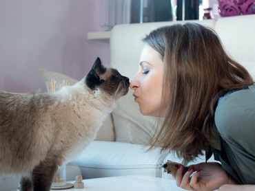 Wenn die Katze markiert: Unsauberkeit kann vielfältige Ursachen haben