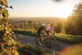 Bildunterschrift: Graveln mitten durch die Weinlandschaft: Wenn sich die Reben verfärben, wird die Fahrt durch die Hügel besonders stimmungsvoll. Foto: Tourimia Tourismus GmbH/Stefan Leitner Photography/akz-o