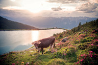 Natur erleben: Sommerurlaub im Herzen Tirols