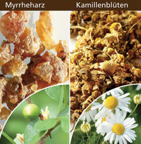 Neue Erkenntnisse zur Wirkung von Myrrhe bei Reizdarmbeschwerden