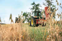Hafer, DAS regionale Superfood
