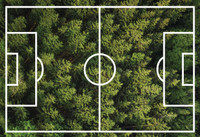 Beitrag zum Klimaschutz: Nachhaltig bewirtschafteter Wald
