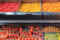 Plastikflut eindämmen? Wellpappe packt das