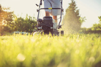 Die richtige Rasenpflege – So geht‘s