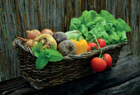 Reiche Ernte mit Dünger aus der Küche