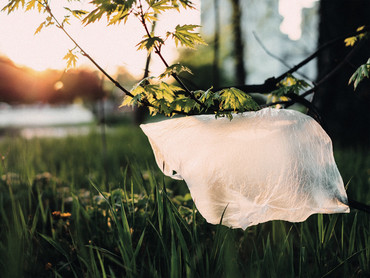 Verpackungen aus natürlichen Rohstoffen: Nachhaltig und klar im Vorteil